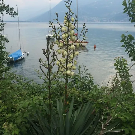 Lago Delle Orchidee Bed & Breakfast *